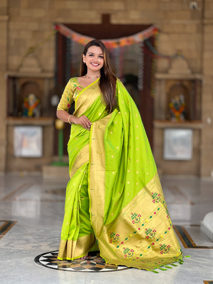 Catalogue Designer Patola Silk Saree