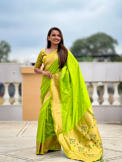 Catalogue Designer Patola Silk Saree