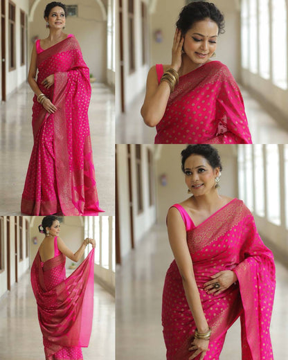 Catalogue Designer Silk Saree