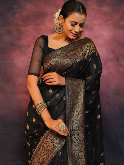 Catalogue Designer Silk Saree