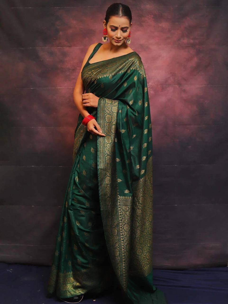 Catalogue Designer Silk Saree