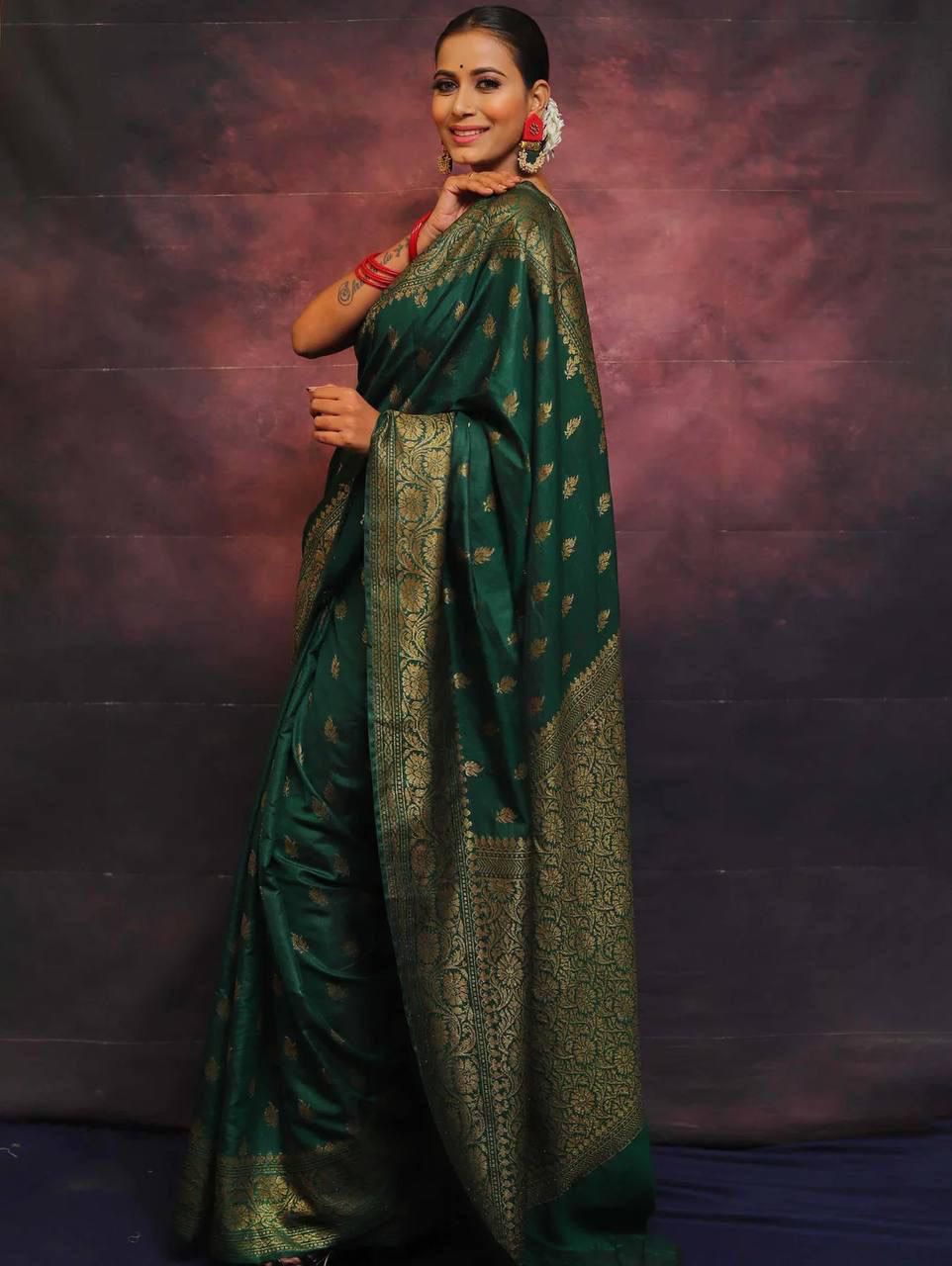 Catalogue Designer Silk Saree