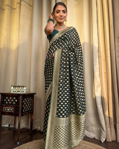 Catalogue Designer Silk Saree