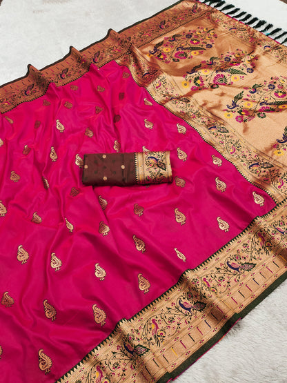 Catalogue Designer Silk Saree