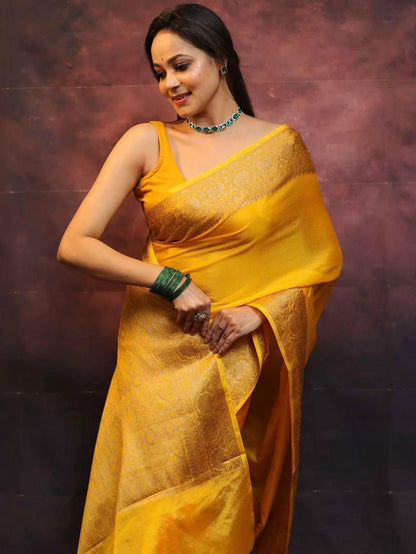 Catalogue Designer Silk Saree