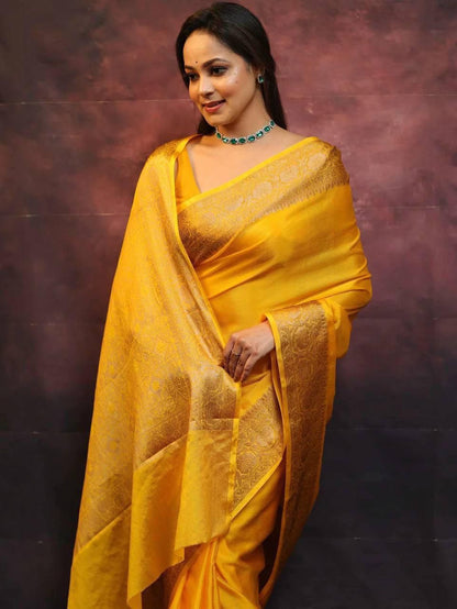 Catalogue Designer Silk Saree