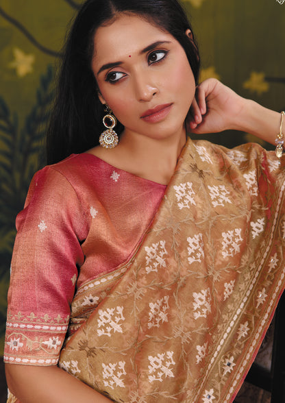 Catalogue Designer Silk Saree