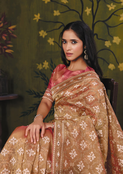 Catalogue Designer Silk Saree