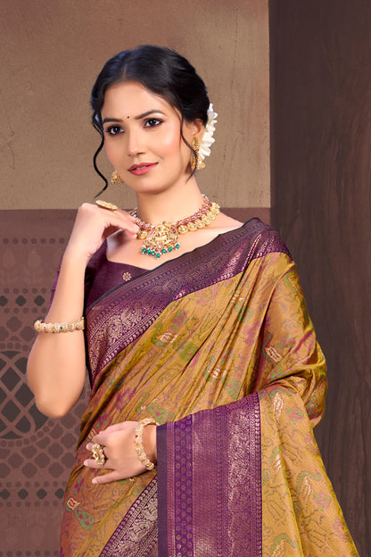 Catalogue Designer Silk Saree