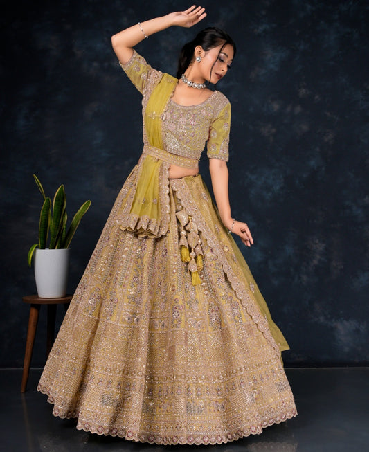 Latest Semi Stitched Lehenga Choli With Dupatta.