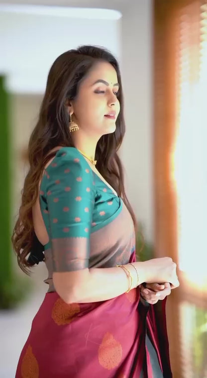 Catalogue Designer Silk Saree
